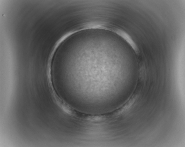 X0000116011051200911251117