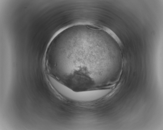 X0000116011052200911251117