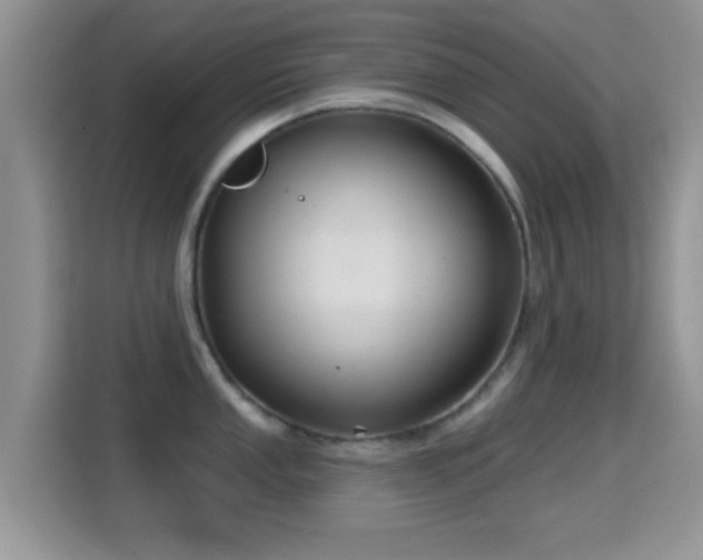 X0000116011053200911251117