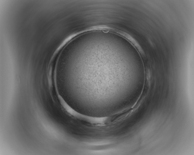 X0000116011054200911251117