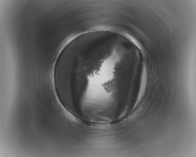 X0000116011055200911251117