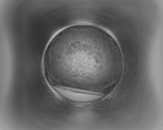 X0000116011056200911251117