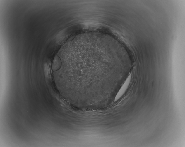 X0000116011059200911251116