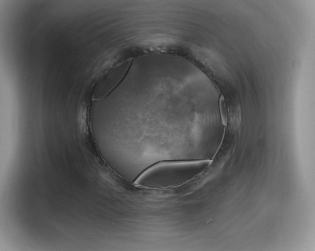 X0000116011060200911251116