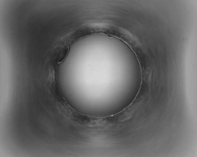 X0000116011061200911251116
