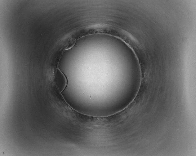X0000116011062200911251116
