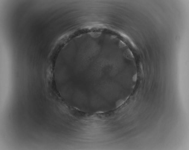 X0000116011063200911251116