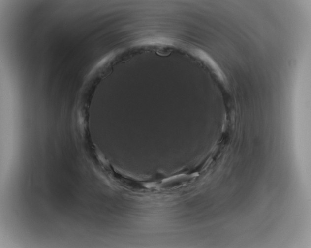 X0000116011064200911251116
