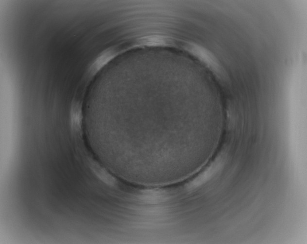 X0000116011065200911251116