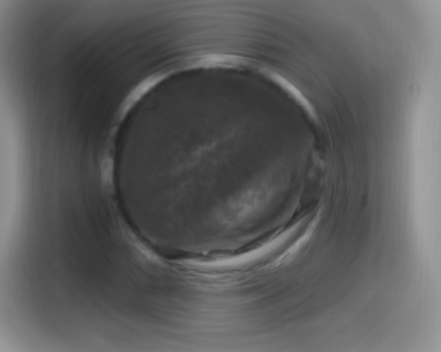 X0000116011066200911251116