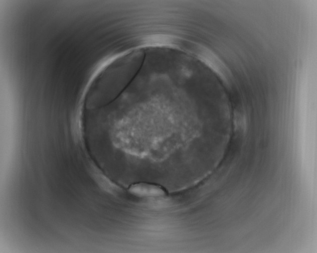 X0000116011068200911251116