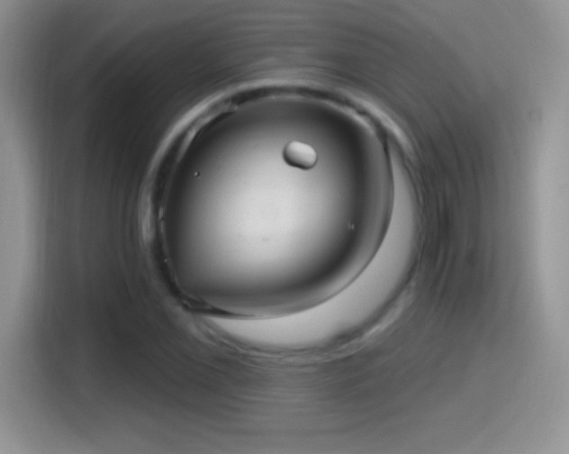 X0000116011069200911251116