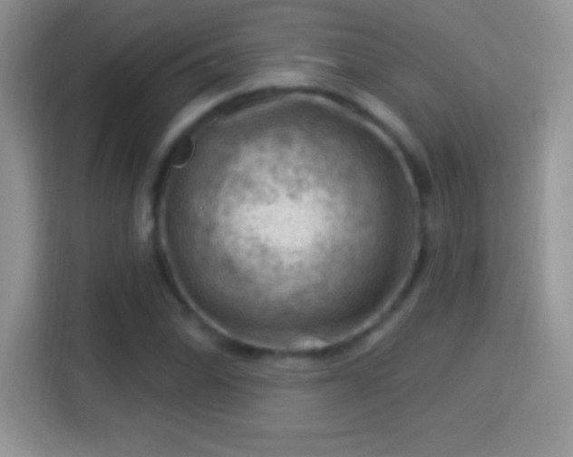 X0000116011070200911251116
