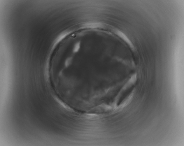 X0000116011071200911251116