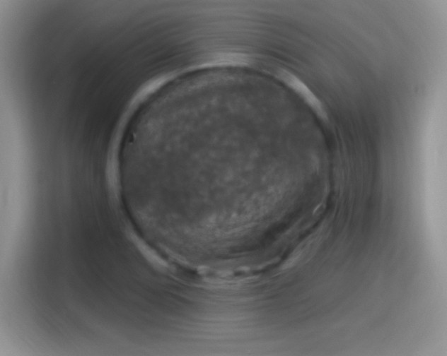 X0000116011072200911251116