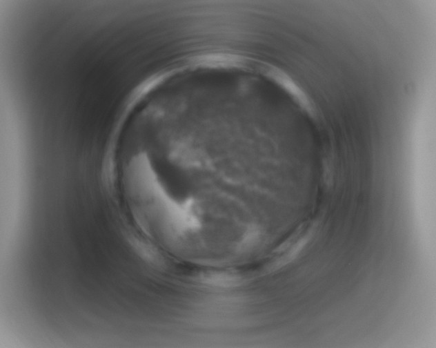 X0000116011074200911251116