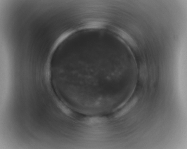 X0000116011077200911251116