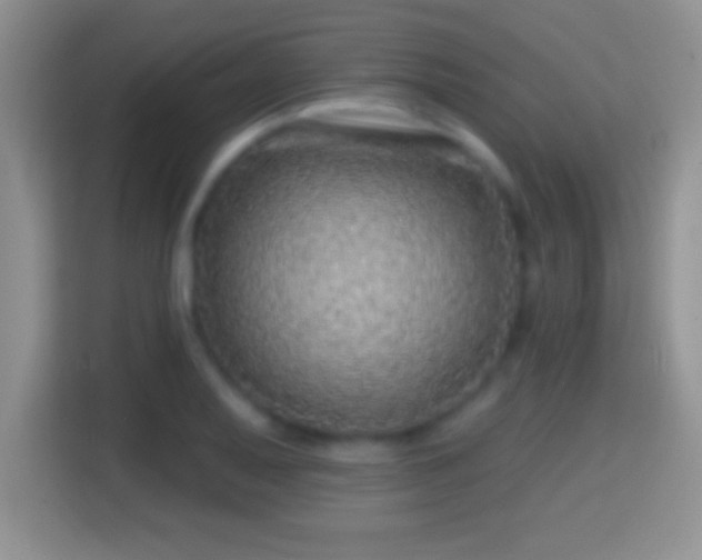 X0000116011079200911251116