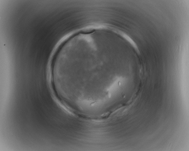 X0000116011080200911251116