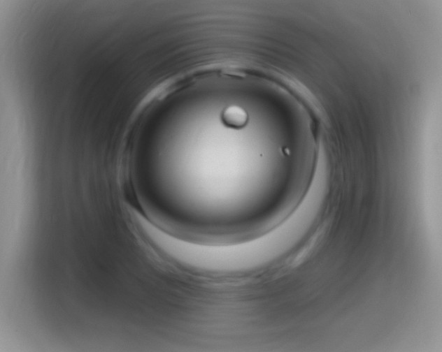 X0000116011081200911251116