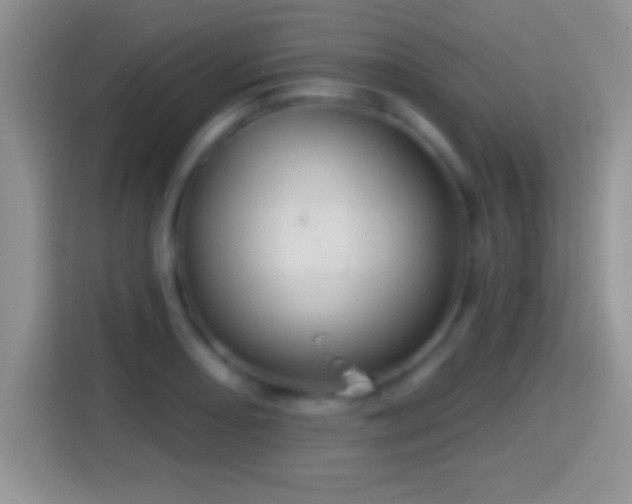 X0000116011082200911251116
