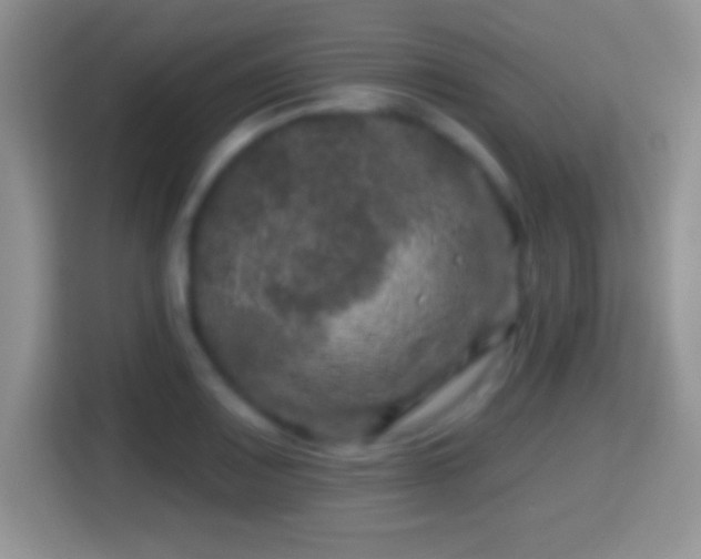 X0000116011083200911251116