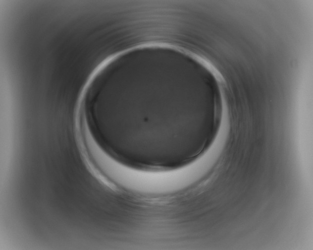 X0000116011084200911251116