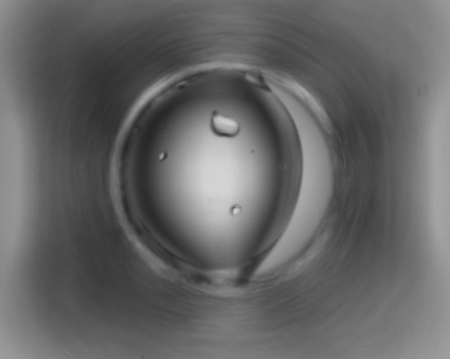 X0000116011085200911251116