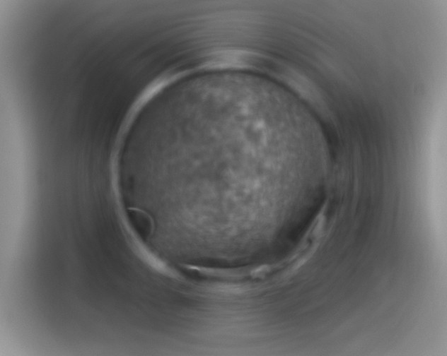 X0000116011086200911251116