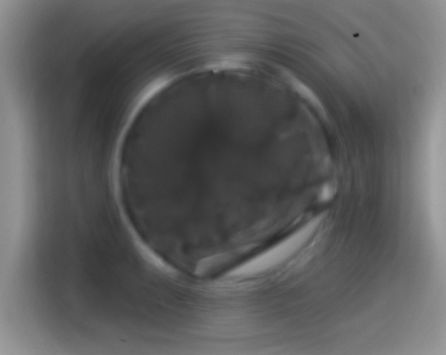 X0000116011087200911251116