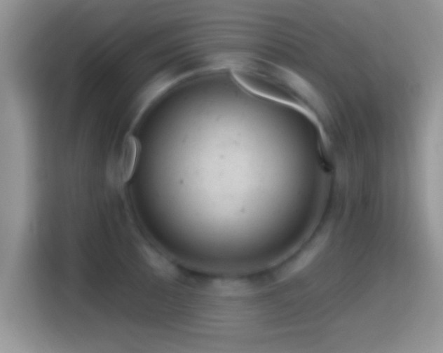 X0000116011089200911251116
