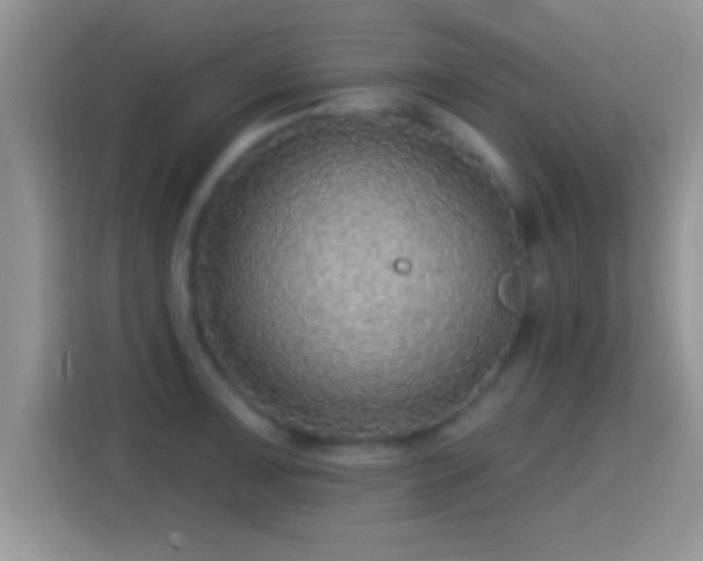 X0000116011091200911251116