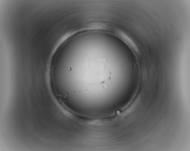 X0000116011093200911251116