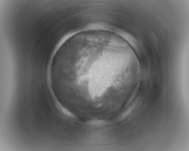 X0000116011094200911251116