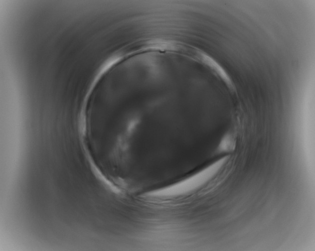 X0000116011095200911251115