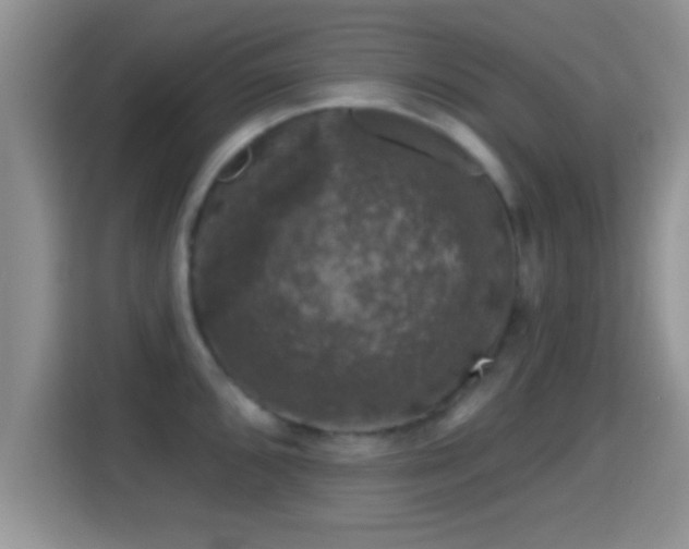 X0000116011096200911251115