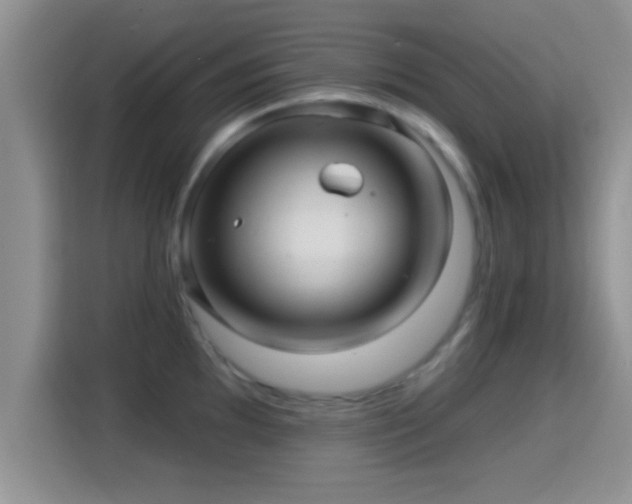 X0000116011097200911251115