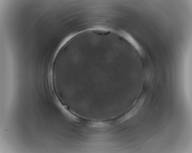X0000116011100200911251115