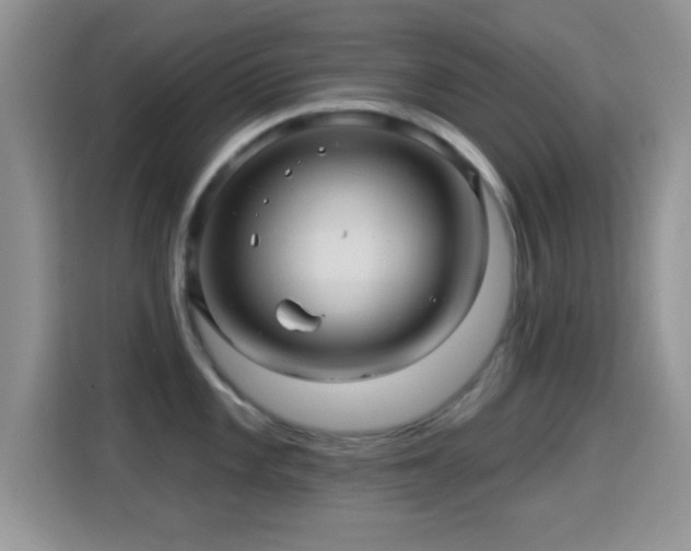 X0000116011101200911251115