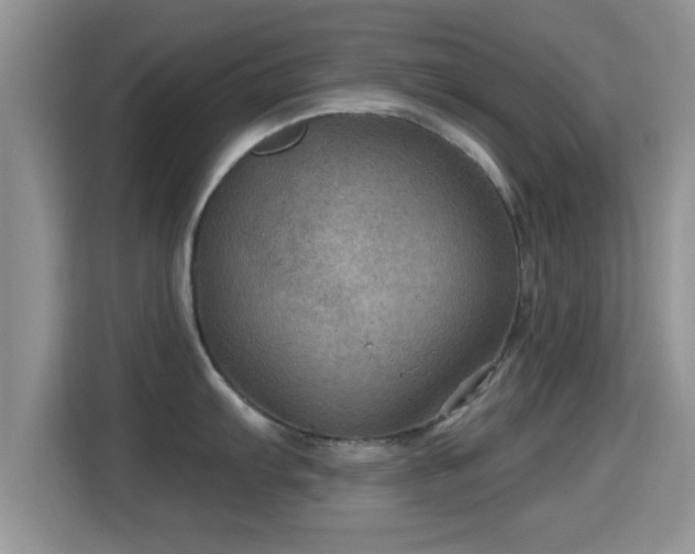 X0000116011103200911251115