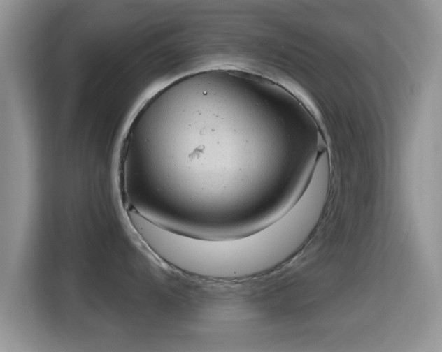 X0000116011104200911251115