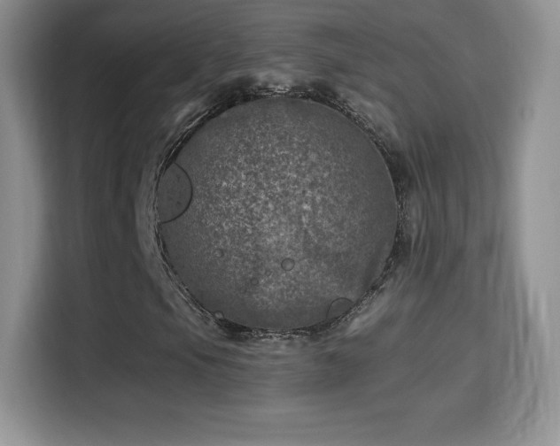 X0000116011105200911251115