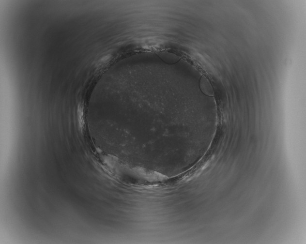 X0000116011106200911251115