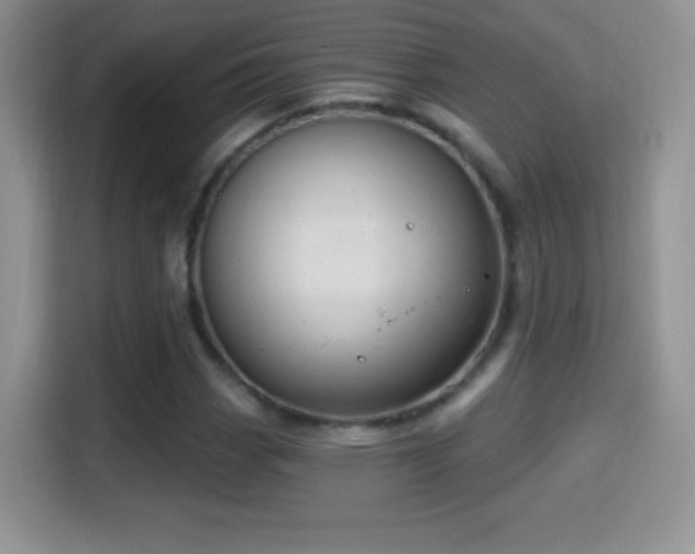 X0000116011113200911251115