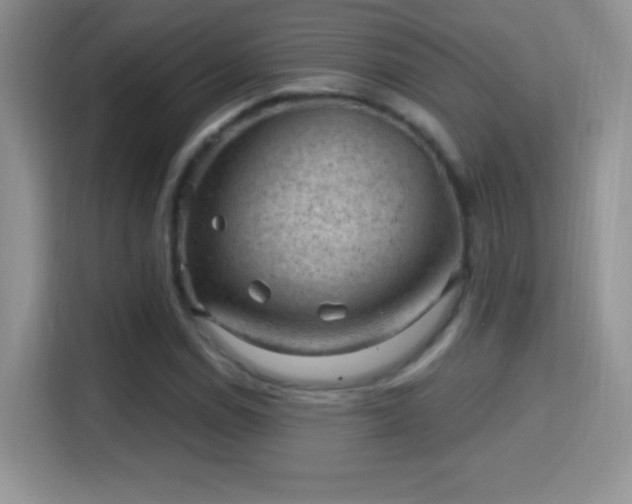 X0000116011114200911251115