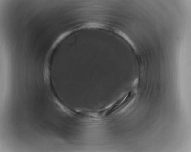 X0000116011115200911251115