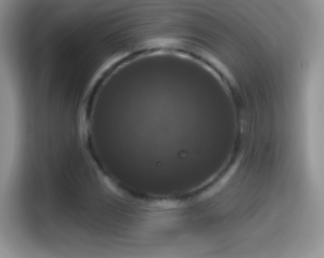 X0000116011117200911251115