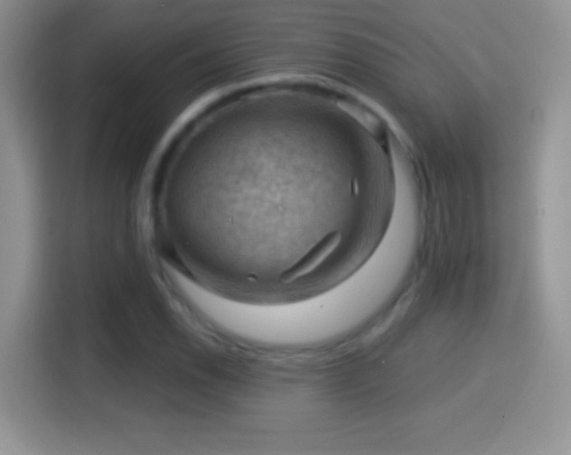 X0000116011118200911251115