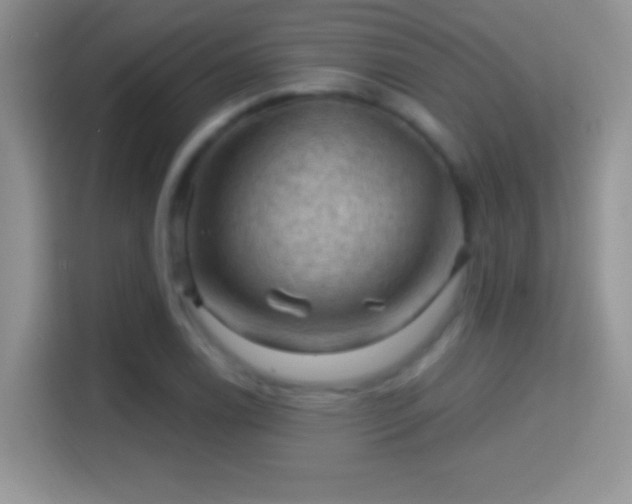 X0000116011122200911251115