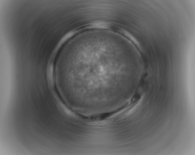 X0000116011123200911251115
